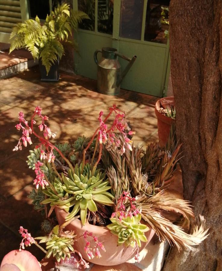La Maison Hilarion Correns Esterno foto